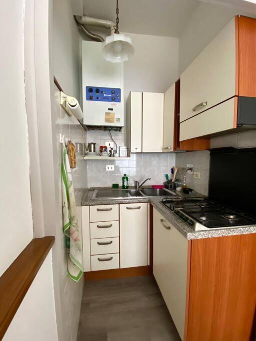 フィレンツェVia Delle Ghiacciaie Houseアパートメント エクステリア 写真